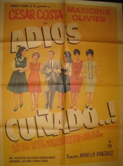 Adiós cuñado poster