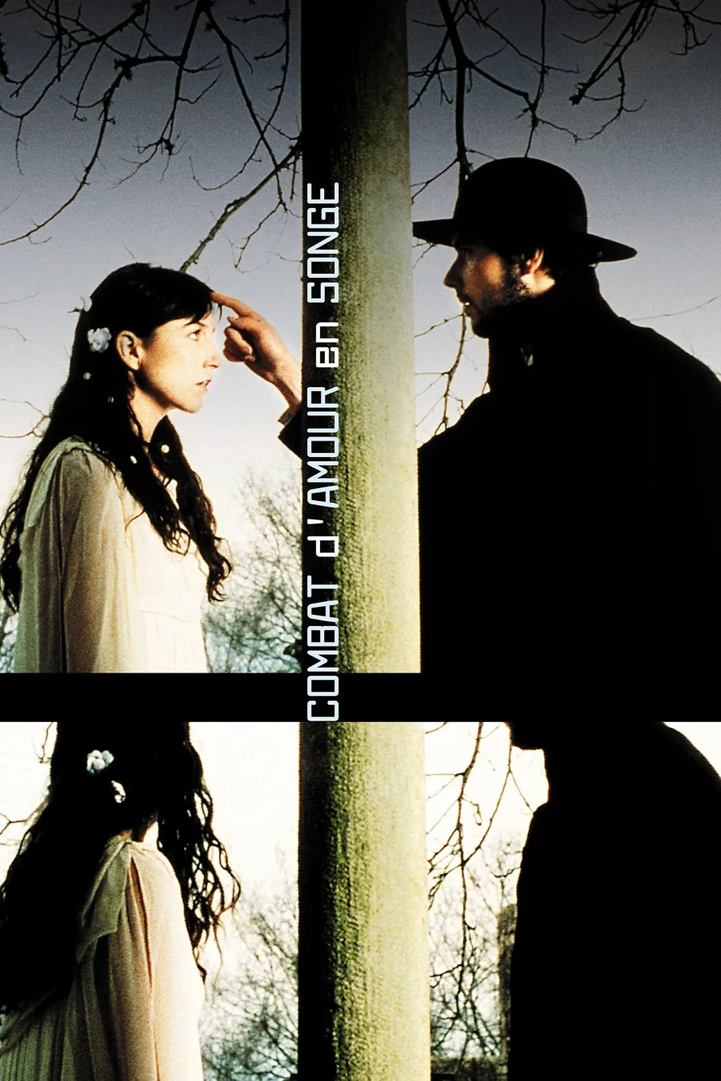 Combat d'amour en songe poster