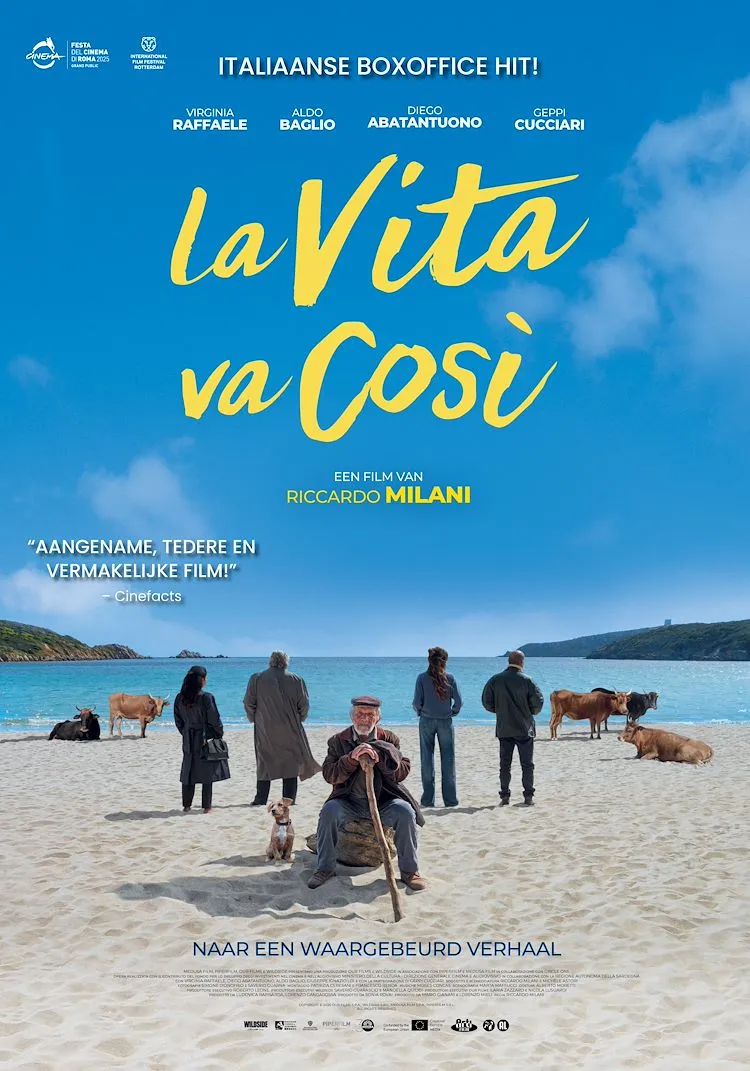 La vita va cosi poster