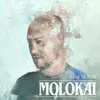 Artwork Molokai Cover Easy To Hide