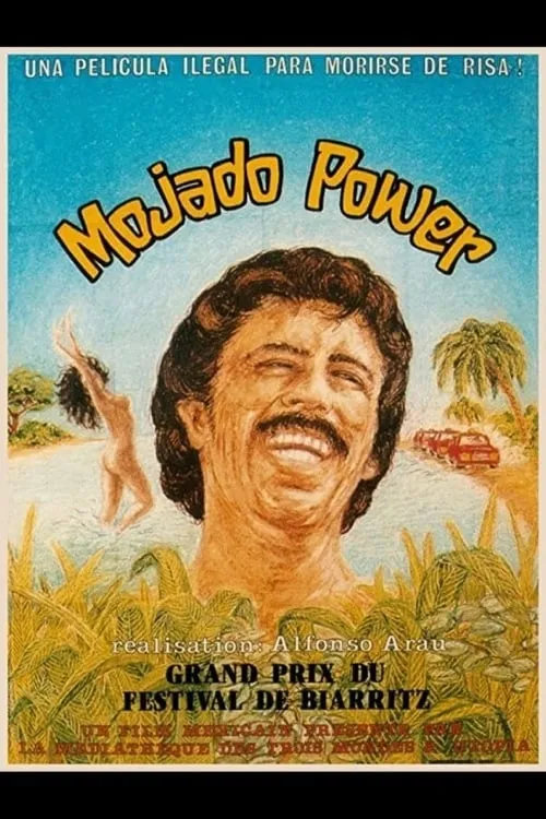 El Mojado remojado poster