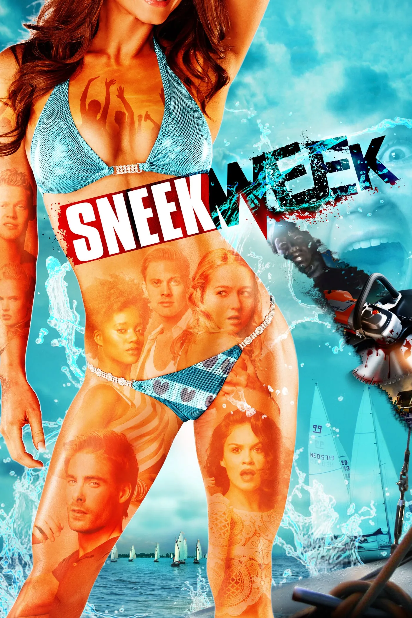 Sneekweek poster