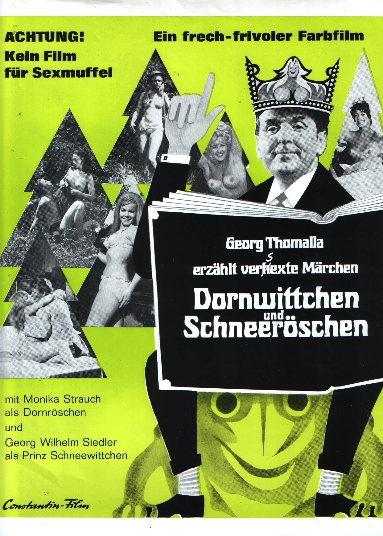 Dornwittchen und Schneeröschen poster