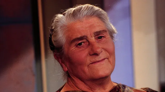 Klazien uit Zalk