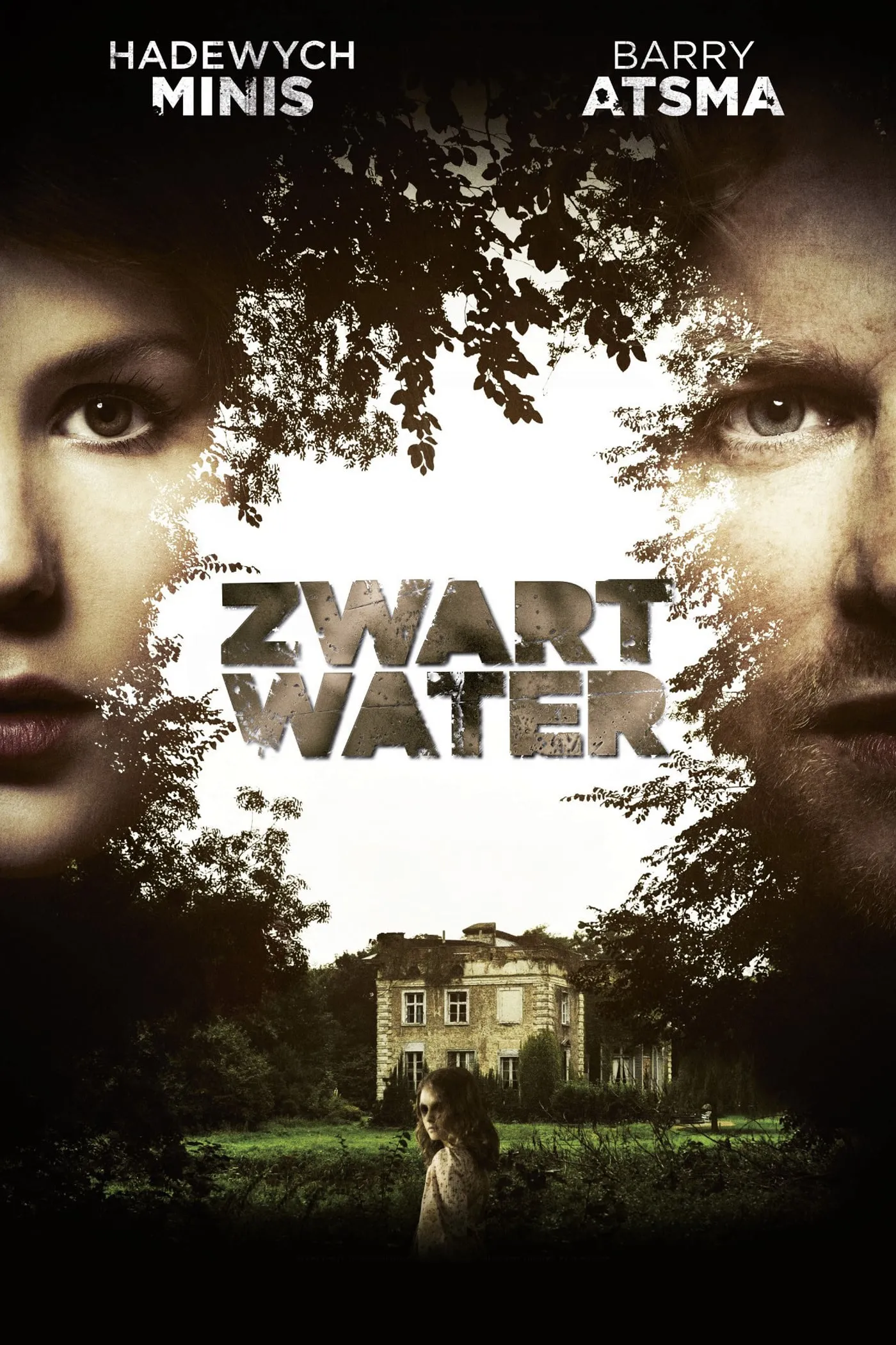 Zwart water poster