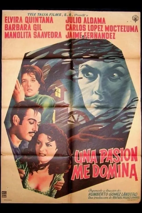 Una Pasión me domina poster