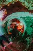 Sfeer op Down the Rabbit Hole 2026