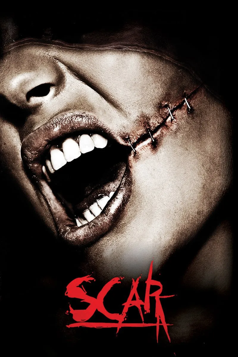 Scar 3D poster