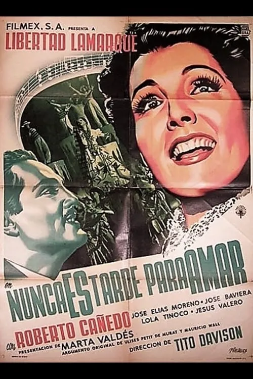 Nunca es tarde para amar poster