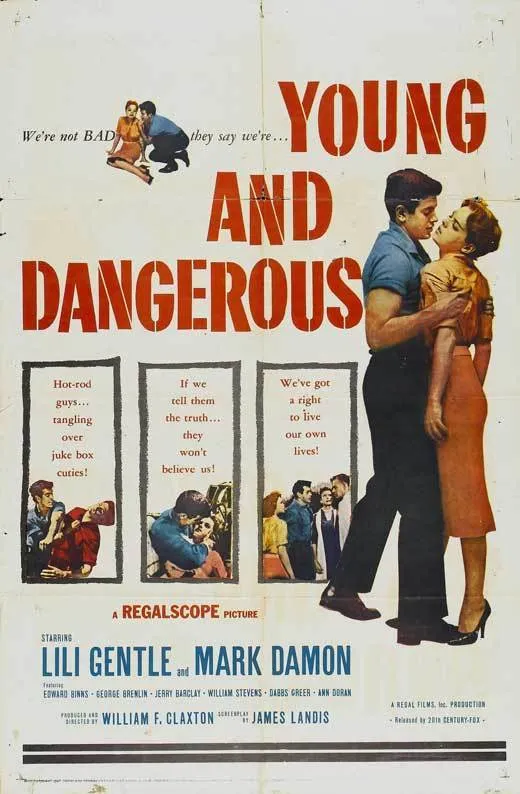 Young and Dangerous poster