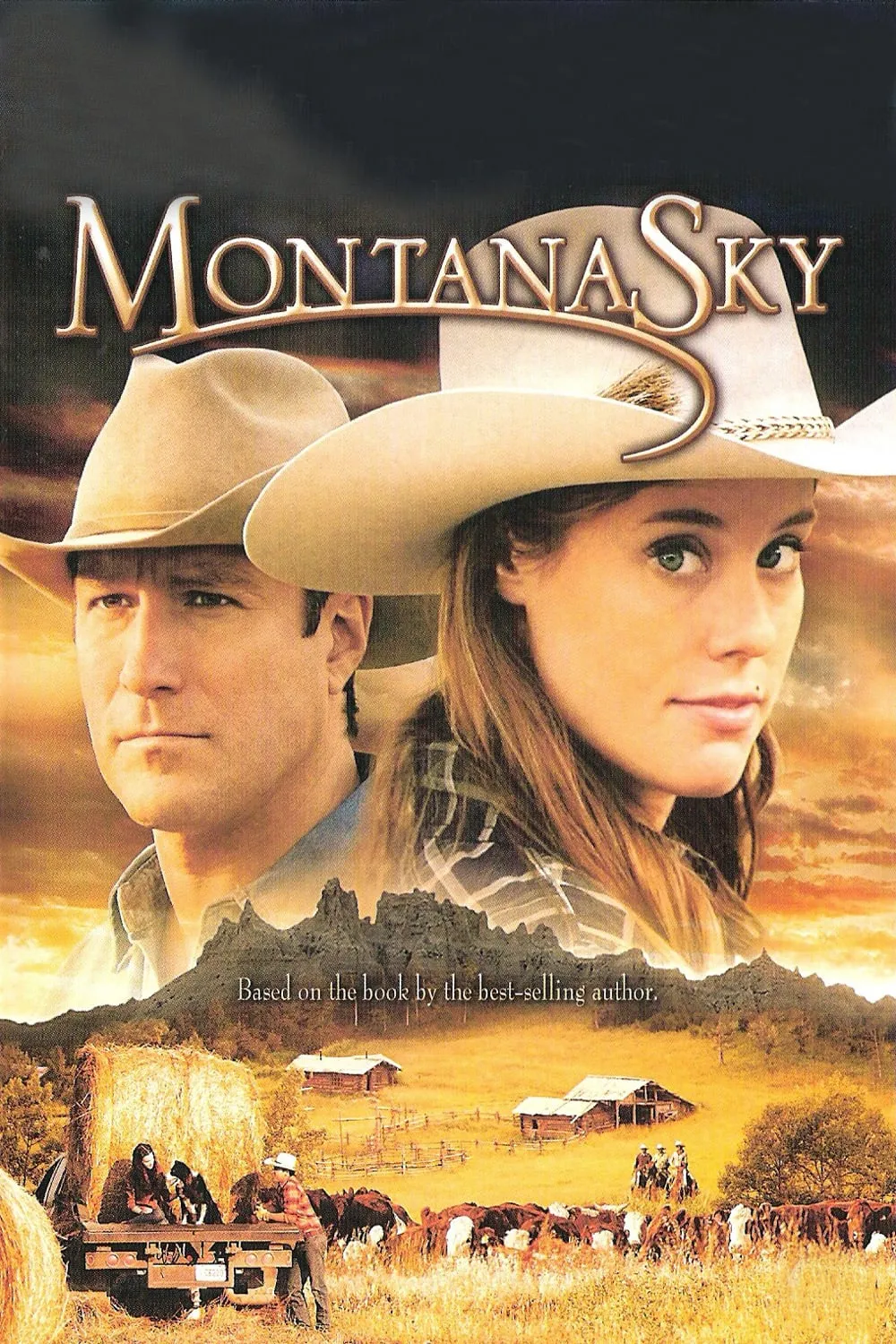 Montana Sky poster