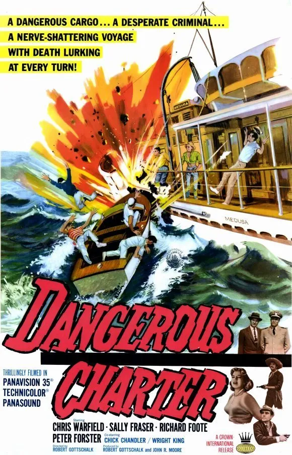 Dangerous Charter poster