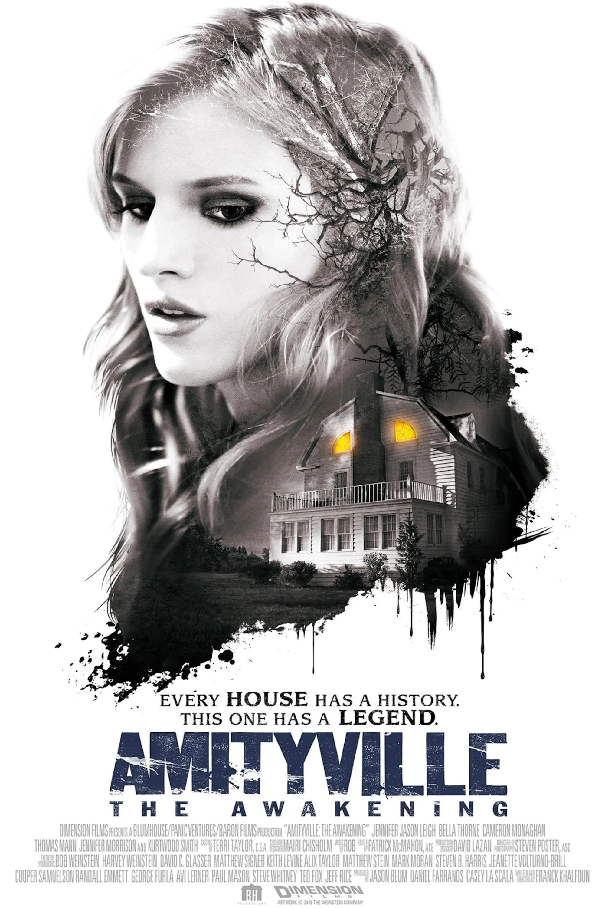 Amityville: The Awakening poster