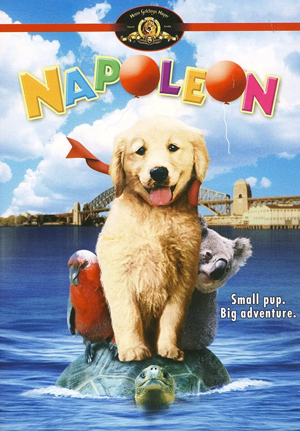 Napoleon poster