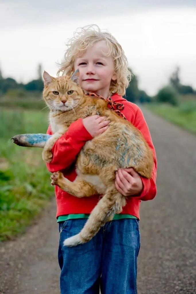 Morrison krijgt een zusje poster