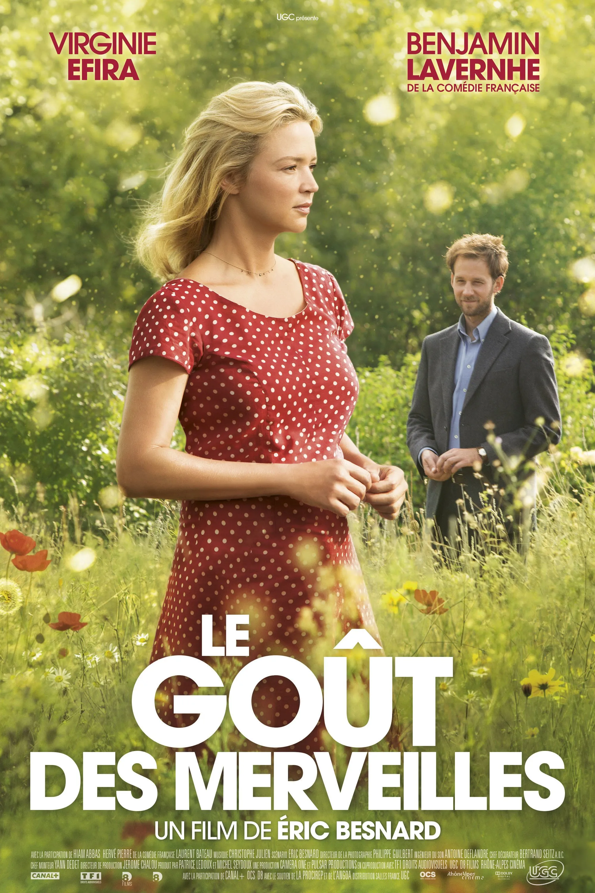 Le goût des merveilles poster