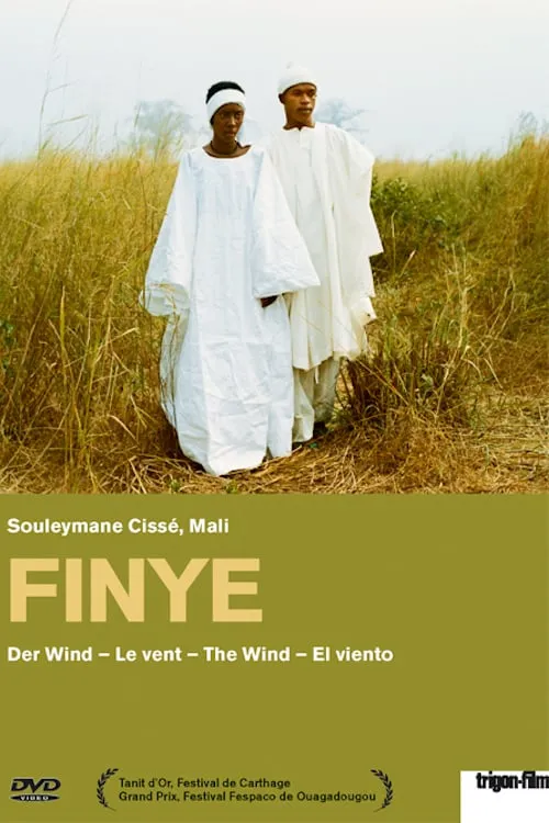 Finye poster