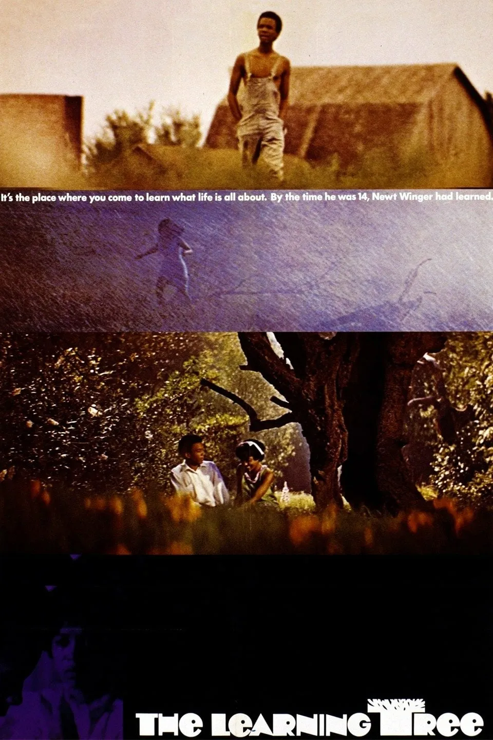 The Learning Tree poster