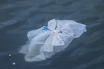 Plastic tasje in de zee.