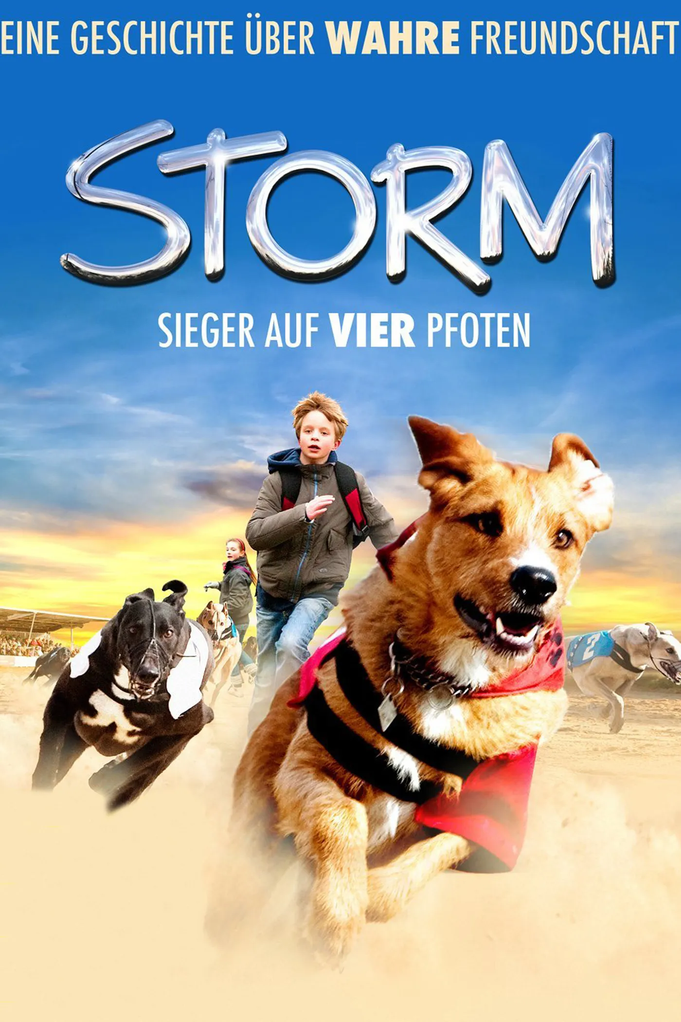 Storm poster