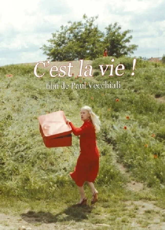 C'est la vie poster