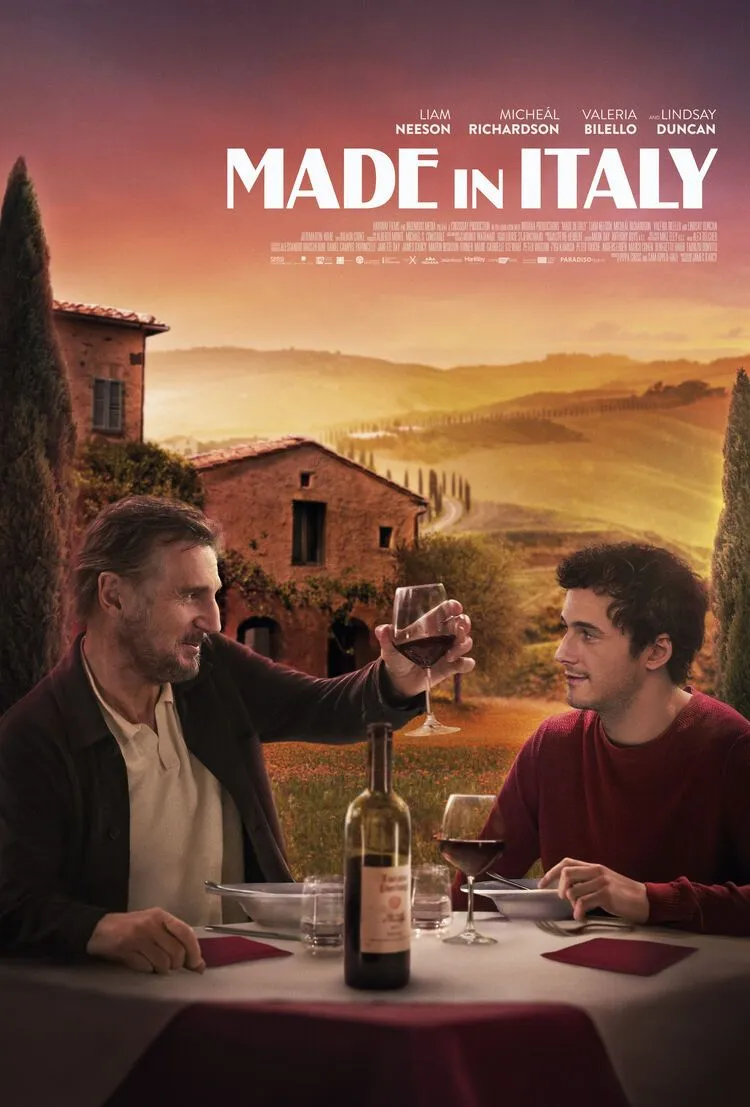 Made in Italy poster