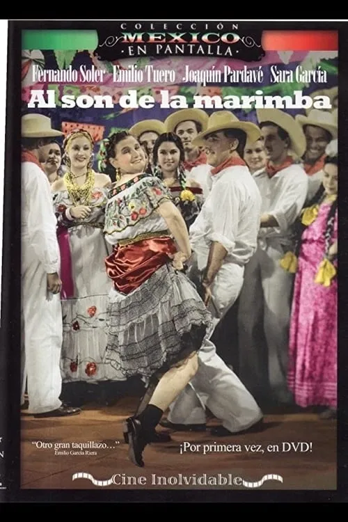 Al son de la marimba poster