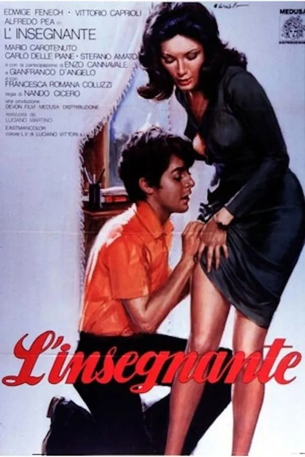 L' Insegnante poster
