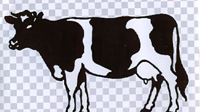 Strez - Rietveld Demo