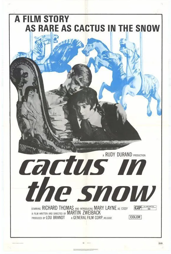 Cactus in the Snow poster