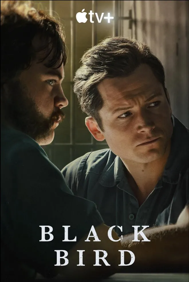 Black Bird poster