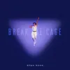 Artwork Ryan Song Cover BREAK THE CAGE