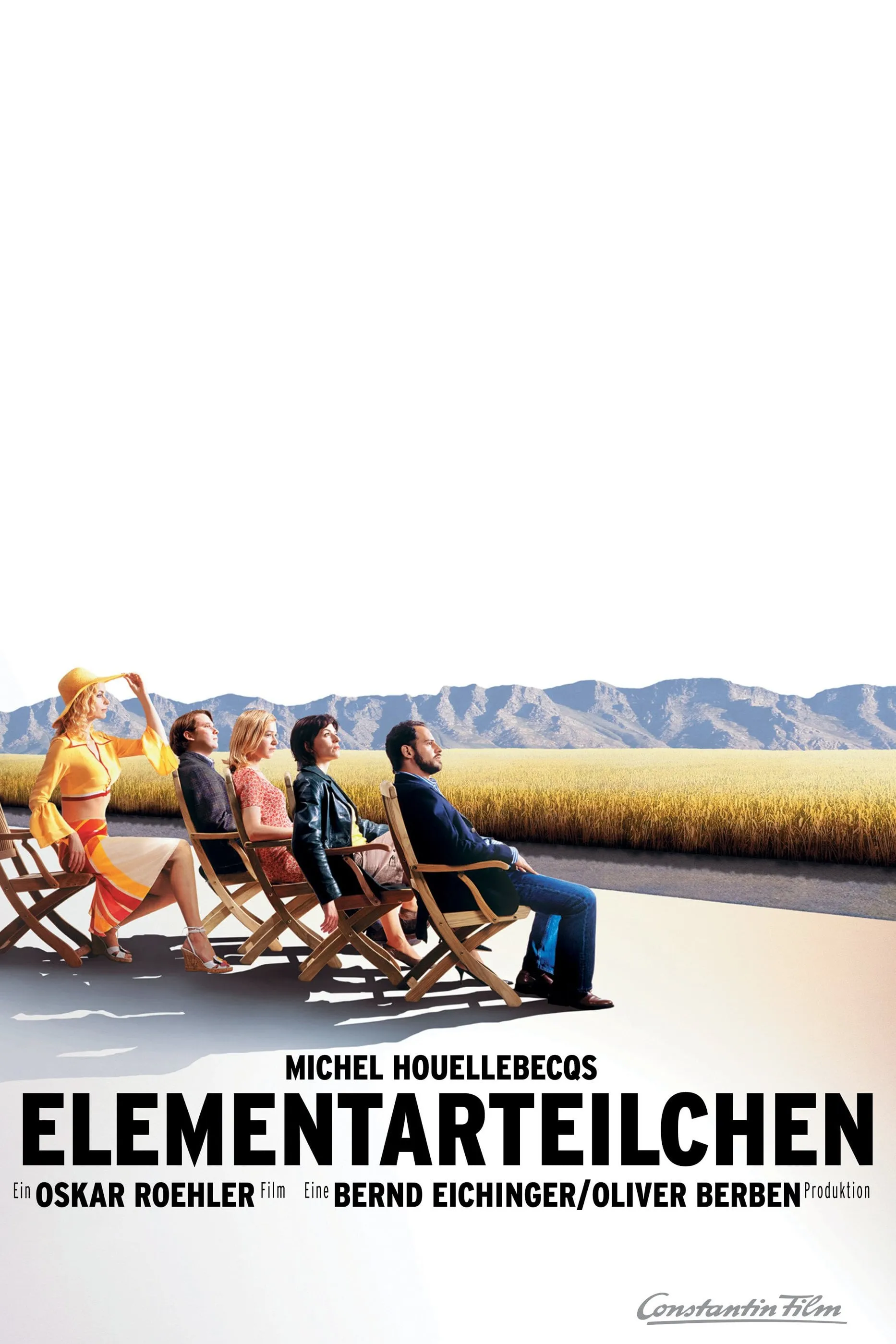 Elementarteilchen poster