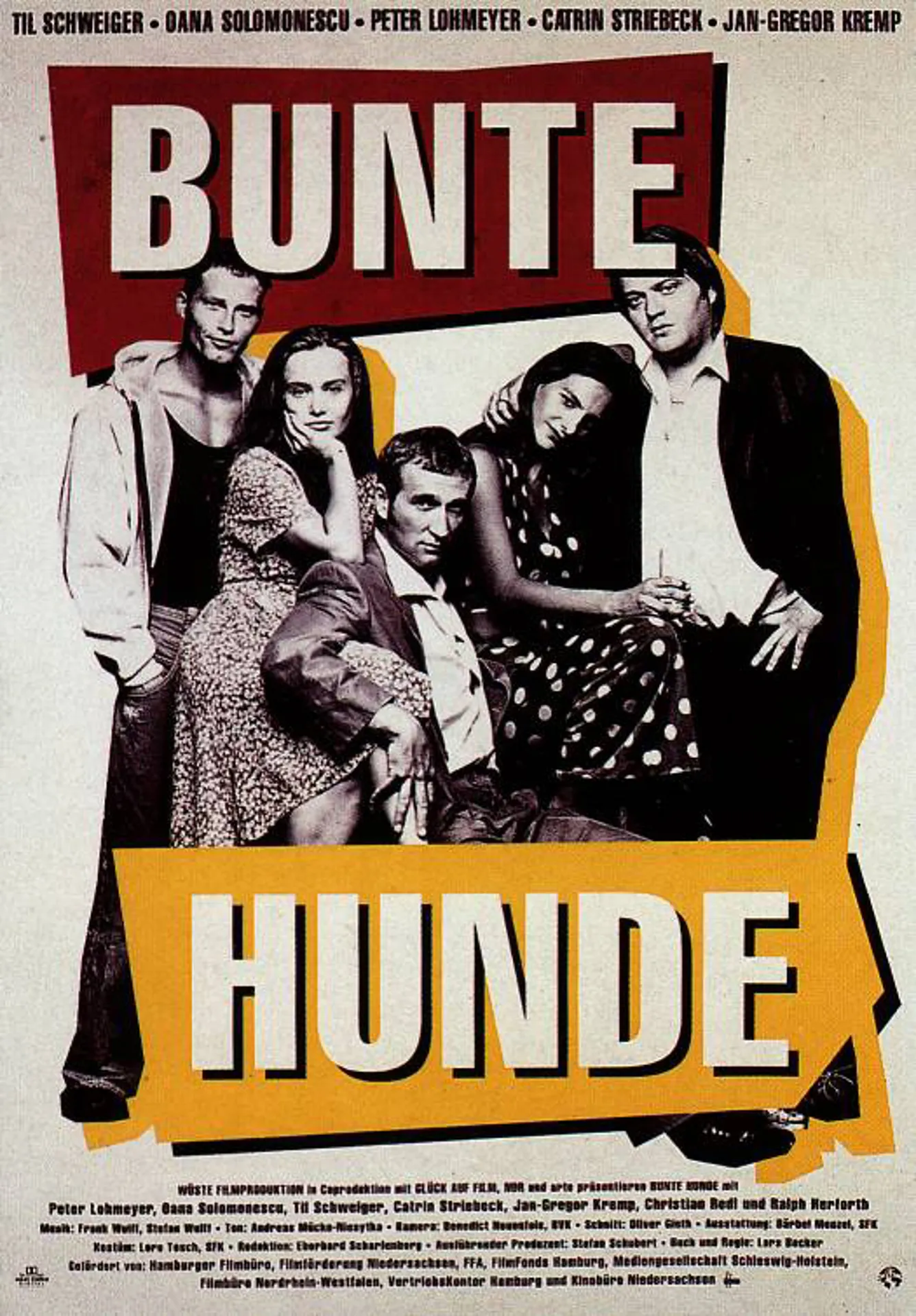 Bunte Hunde poster