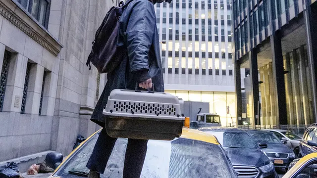 Y: The Last Man -- "The Day Before”. Ben Schnetzer as Yorick Brown.