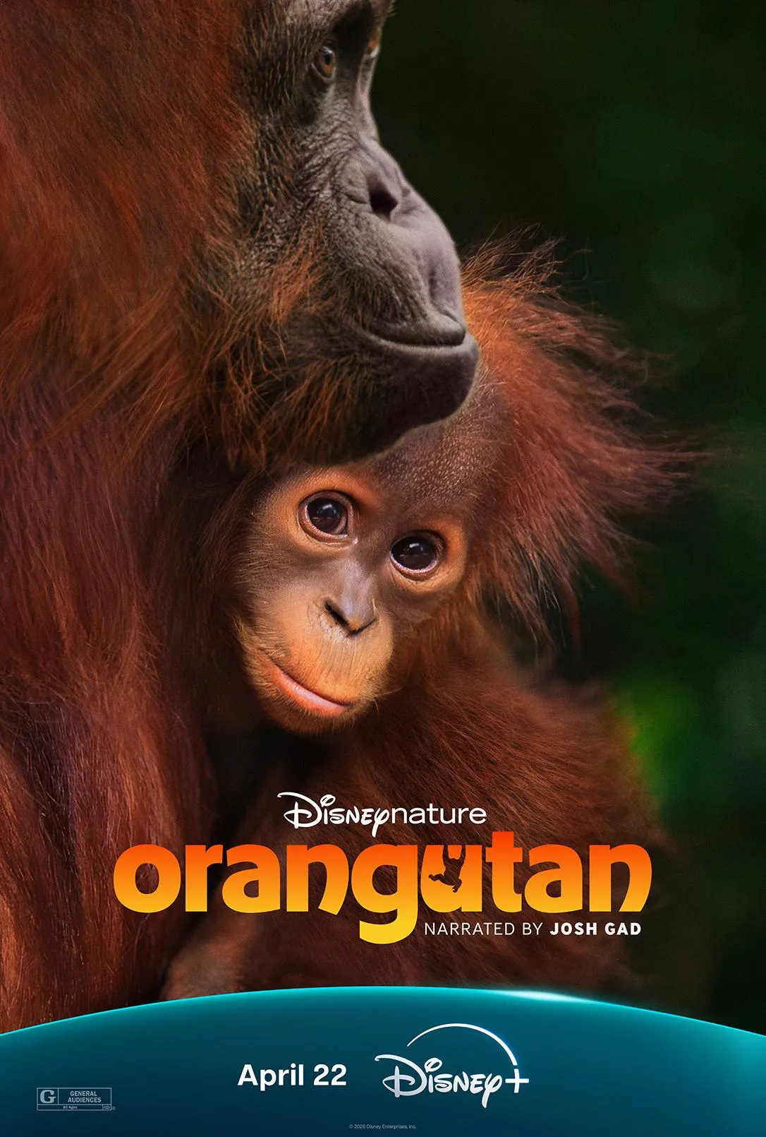 Orangutan poster