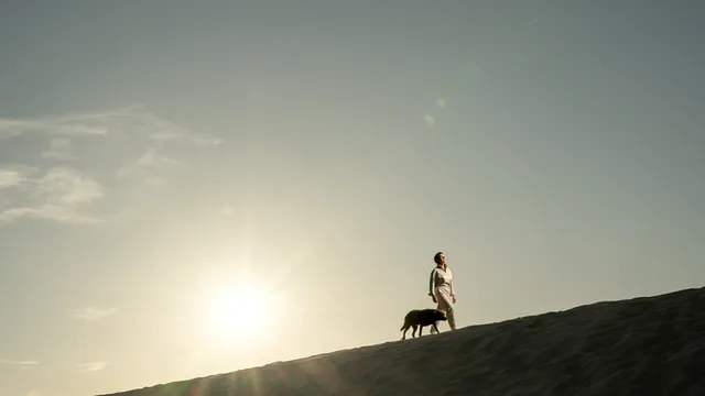 Een vrouw, Griet Op de Beeck, loopt in de schemering met een hond over een duin, met de ondergaande zon laag aan de horizon links in beeld.