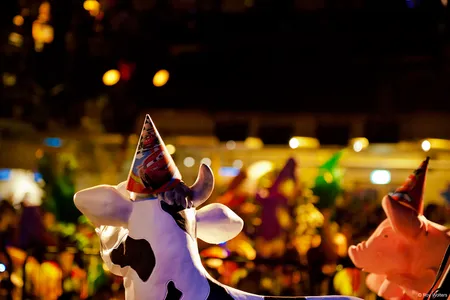 De kunst van een goede fuif is om op het juiste moment te vertrekken. We zingen voor één laatste keer mee met ‘Varkens, geiten, boerenkool’ van Riny van der Lee en doen zwaai ende wuif. Het was weer mooi. In de woorden van Kees van Hondt: "Ook de veestapel constateerde een hoge mate van Keeswaardigheid."