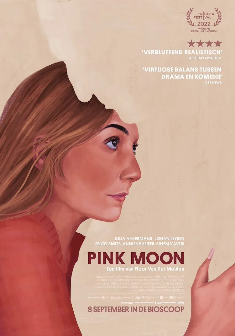 Pink Moon poster