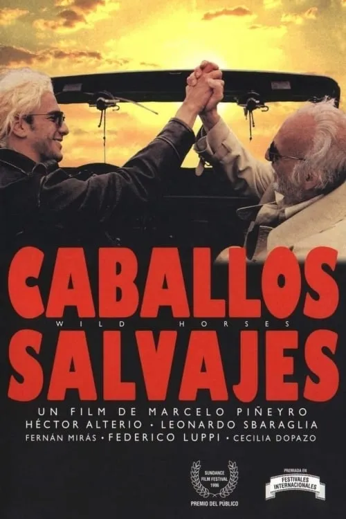 Caballos Salvajes poster