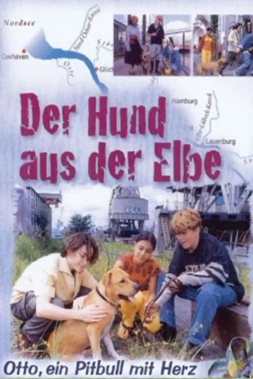 Der Hund aus der Elbe poster