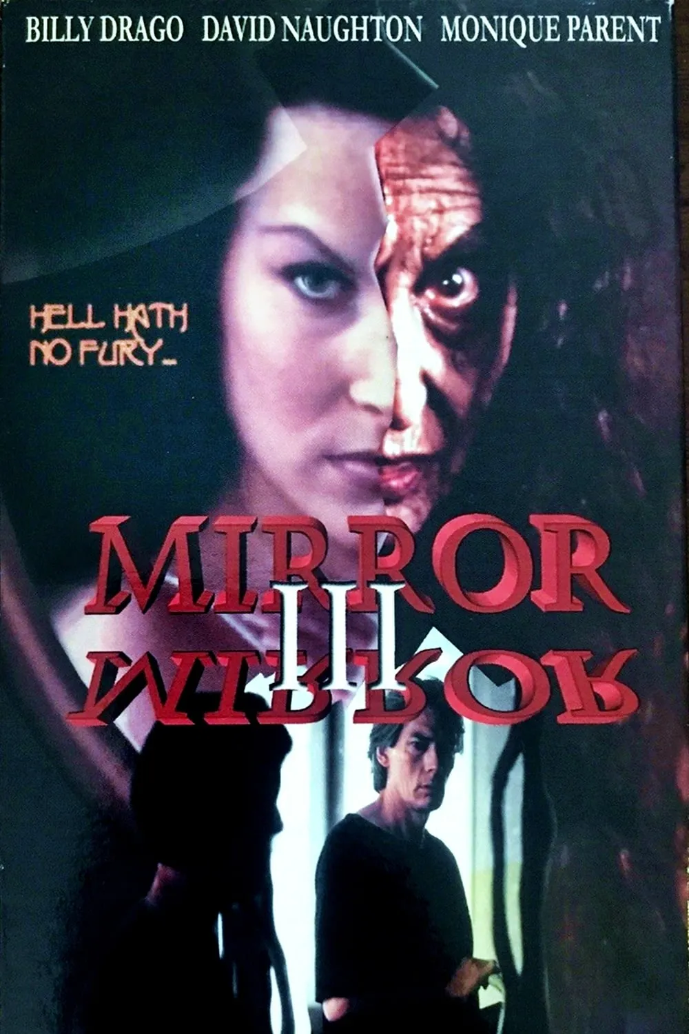 Mirror Mirror III - The Voyeur poster