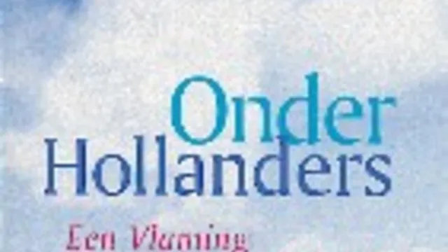 Steven de Foer, 'Onder Hollanders', Balans 2001