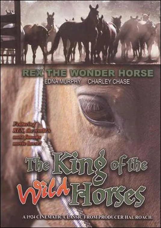 The King of Wild Horses poster