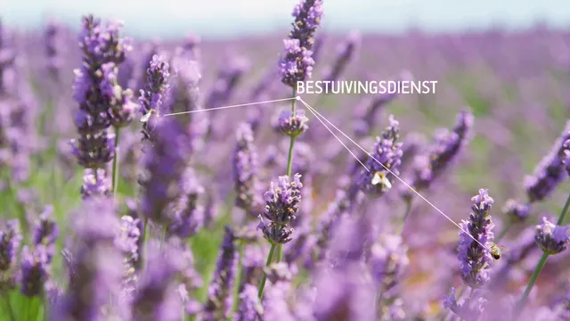 Hoe duur is natuur