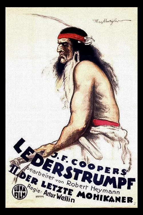 Lederstrumpf poster