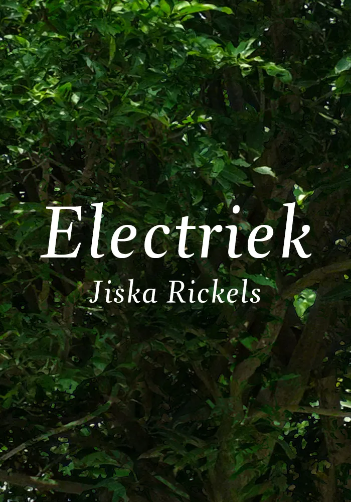 Electriek poster