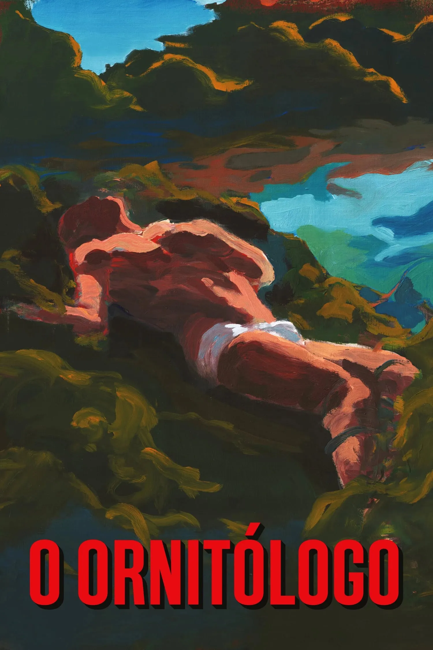 O Ornitólogo poster
