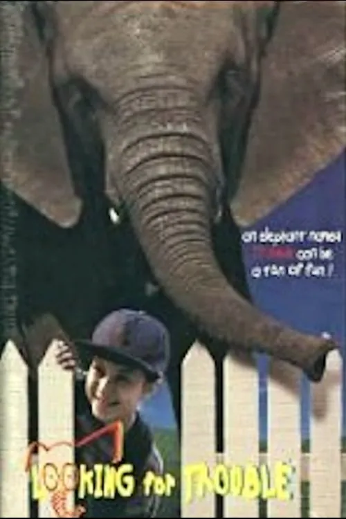 Looking for Trouble poster