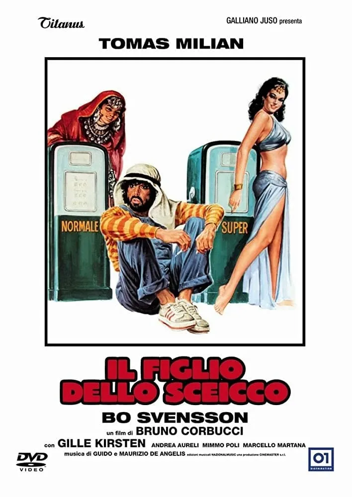 Il figlio dello sceicco poster